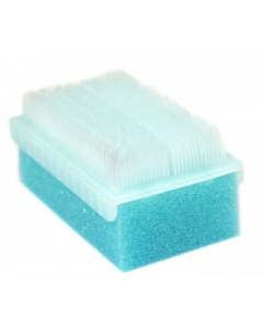 Brosse chirurgicale sèche, la boîte de 25