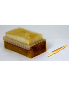 Brosse chirurgicale humide à base de PVP iodée avec cure-ongle, la boîte de 25